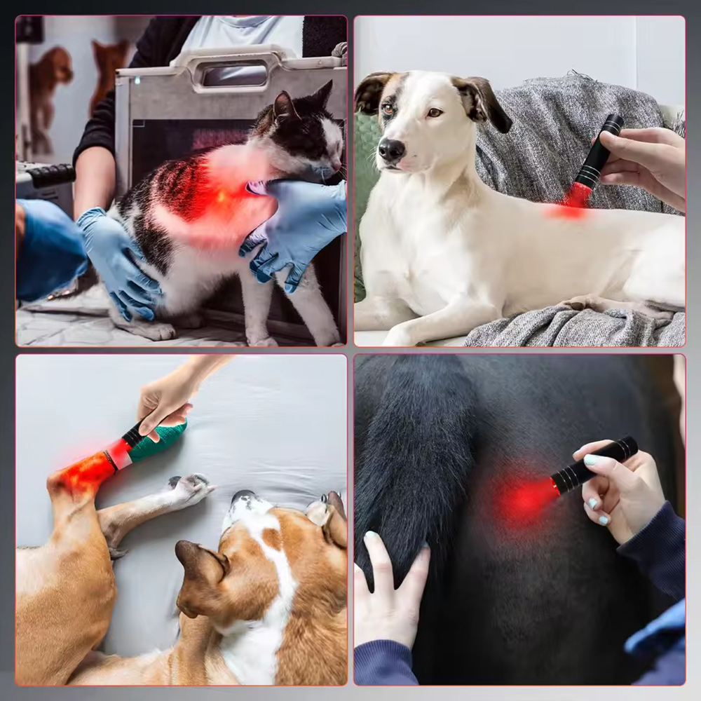NEW Red Light Therapy Electric - Acne Light Therapy Pen incelemesi ve fiyatı