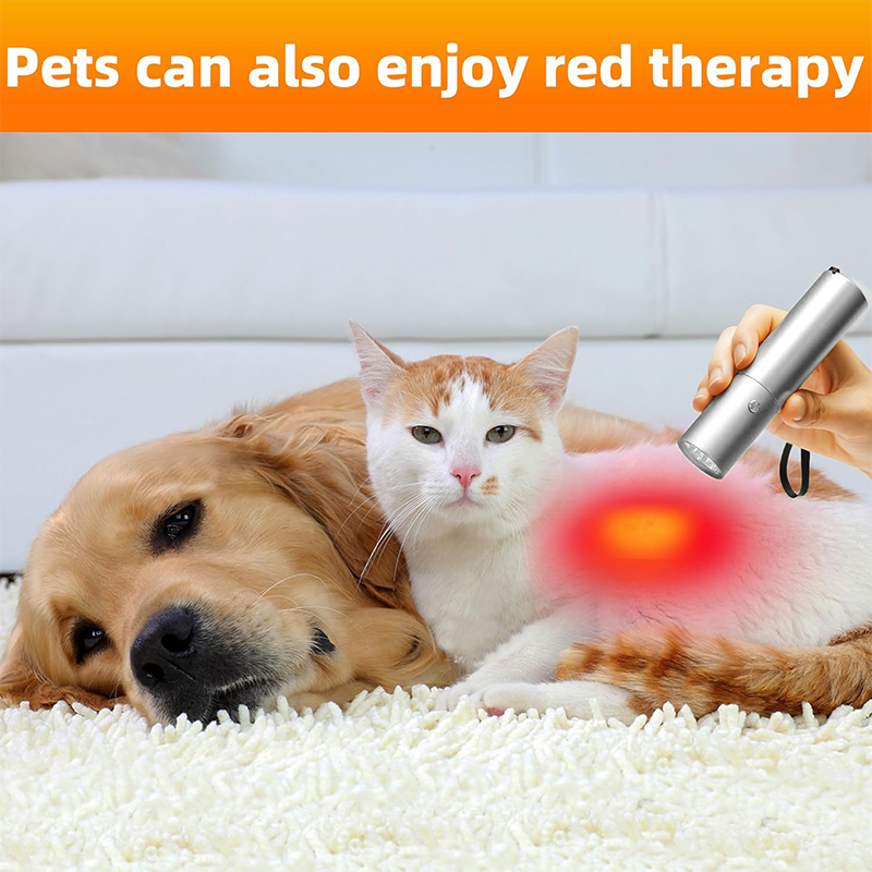 Blue Red Light Therapy Device  - Acne Light Therapy Pen incelemesi ve fiyatı