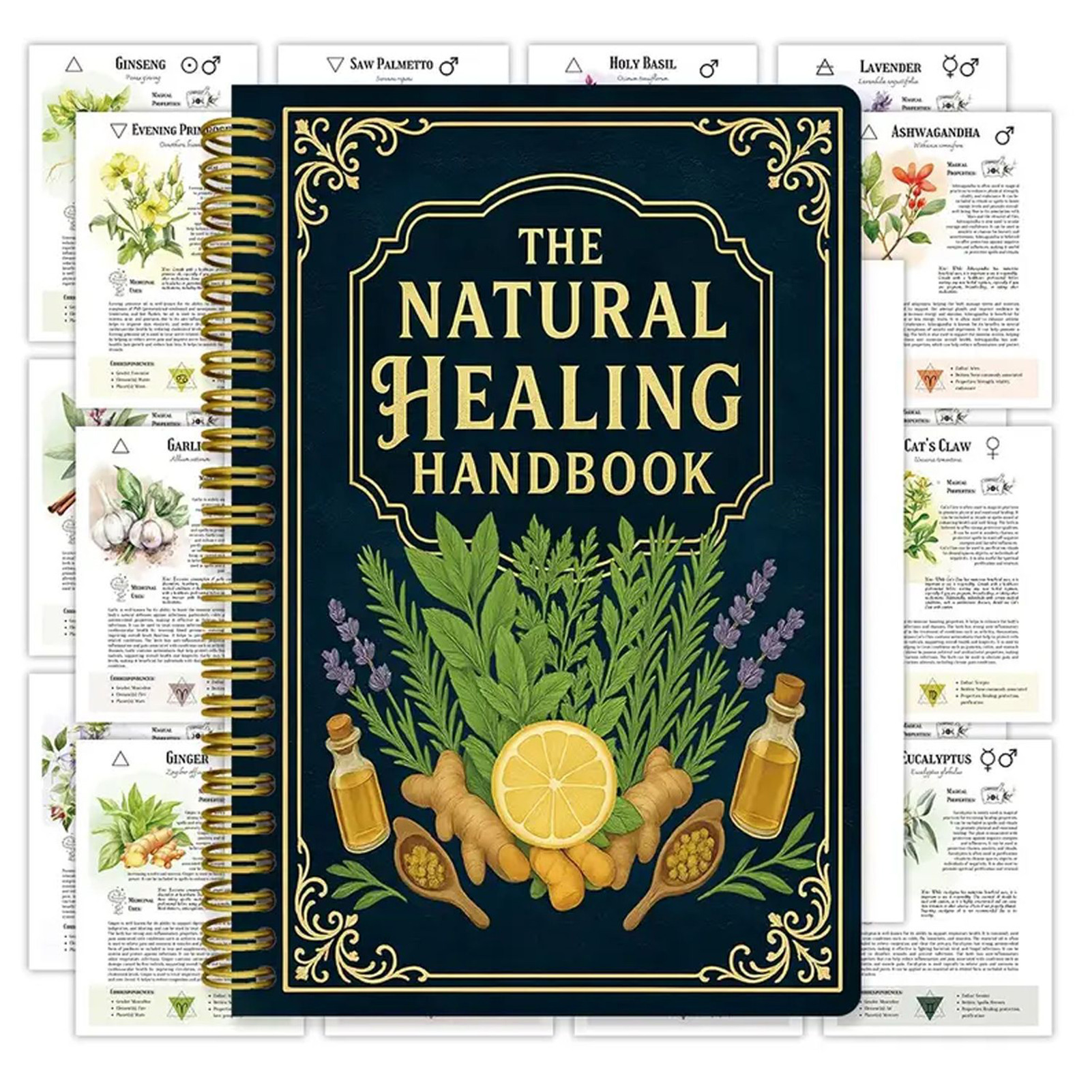 Natural Therapy Handbook, an E - Health & Wellness Programs incelemesi ve fiyatı